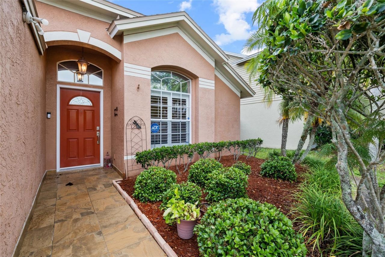 5606 Paddock Trail Drive, Tampa, FL 33624 Photo