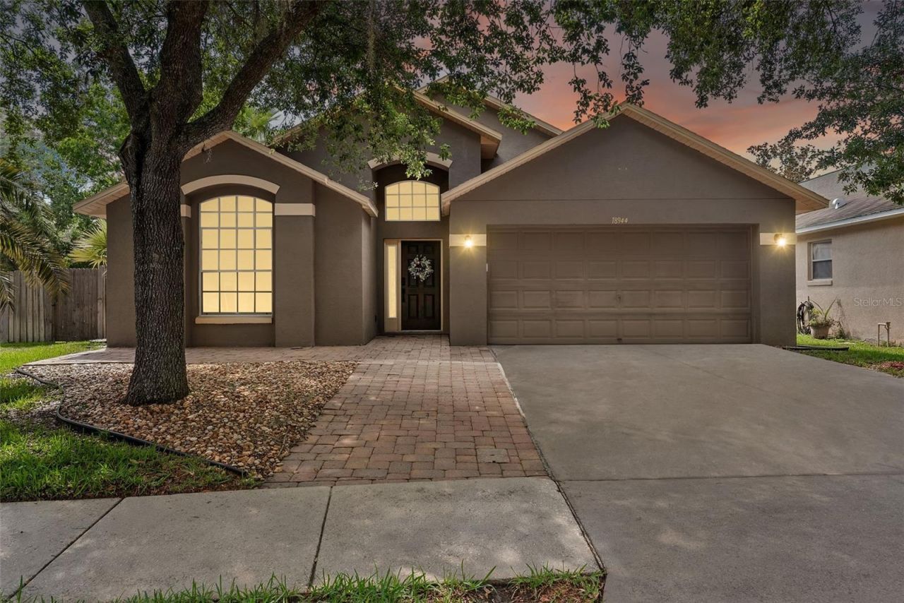 18944 Twinberry Drive, Tampa, FL 33647 Main Photo