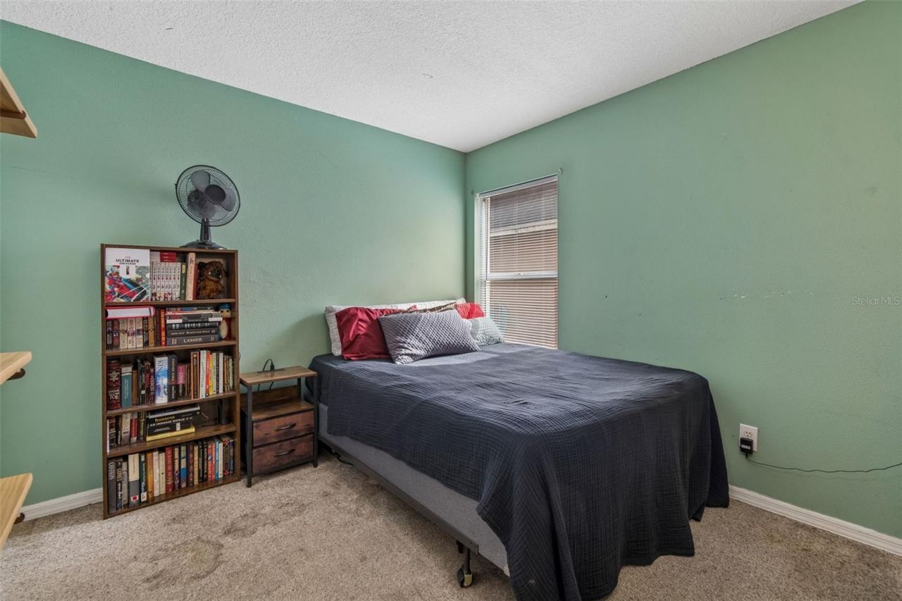 11223 Bramblebrush Street , Tampa, FL 33624 Photo