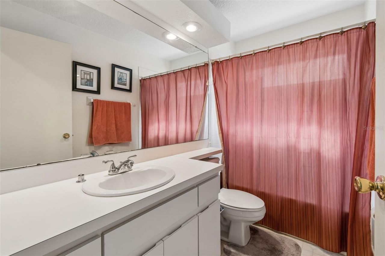 11223 Bramblebrush Street , Tampa, FL 33624 Photo