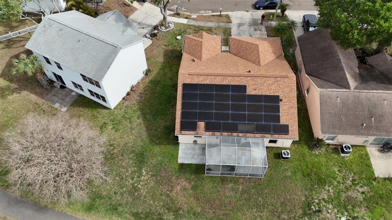 11223 Bramblebrush Street , Tampa, FL 33624 Photo