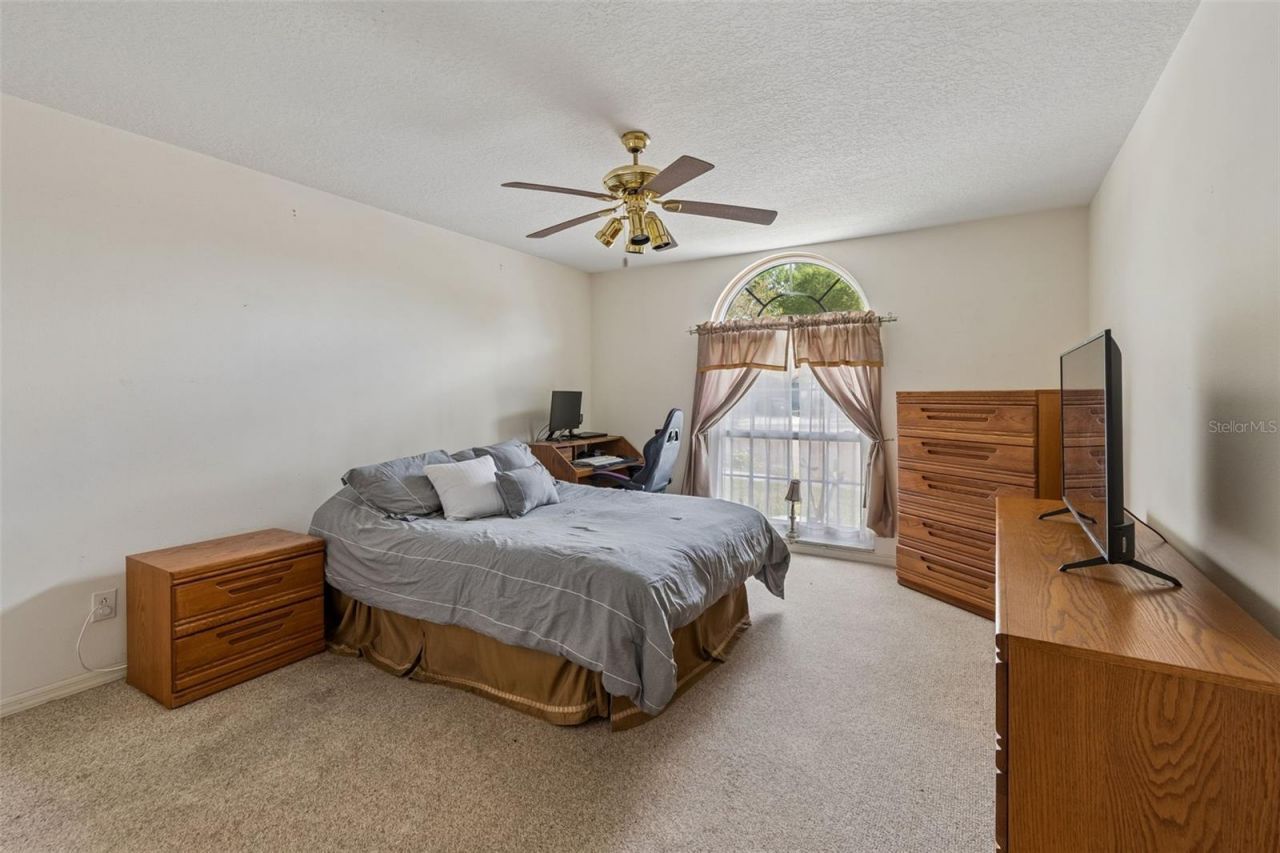 11223 Bramblebrush Street , Tampa, FL 33624 Photo