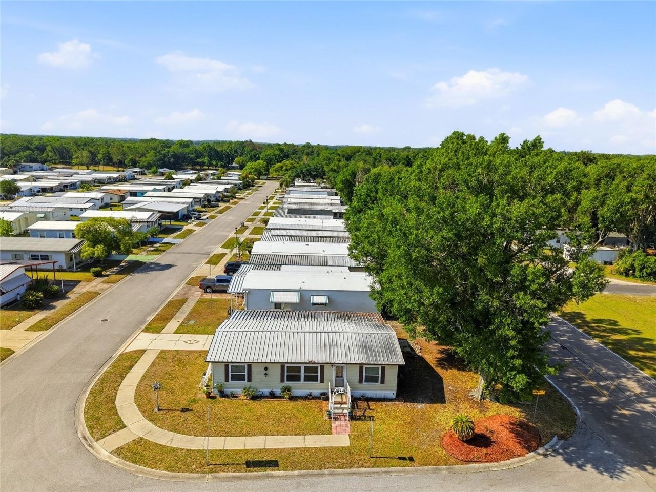 3933 Sarah Drive , Wesley Chapel, FL 33543 Photo