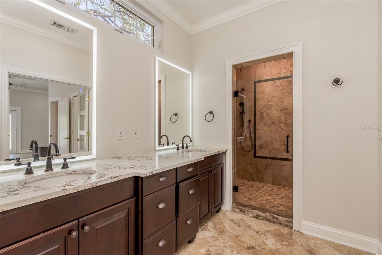 877 Cypress Lakeview Court, Tarpon Springs, FL 34688 Photo