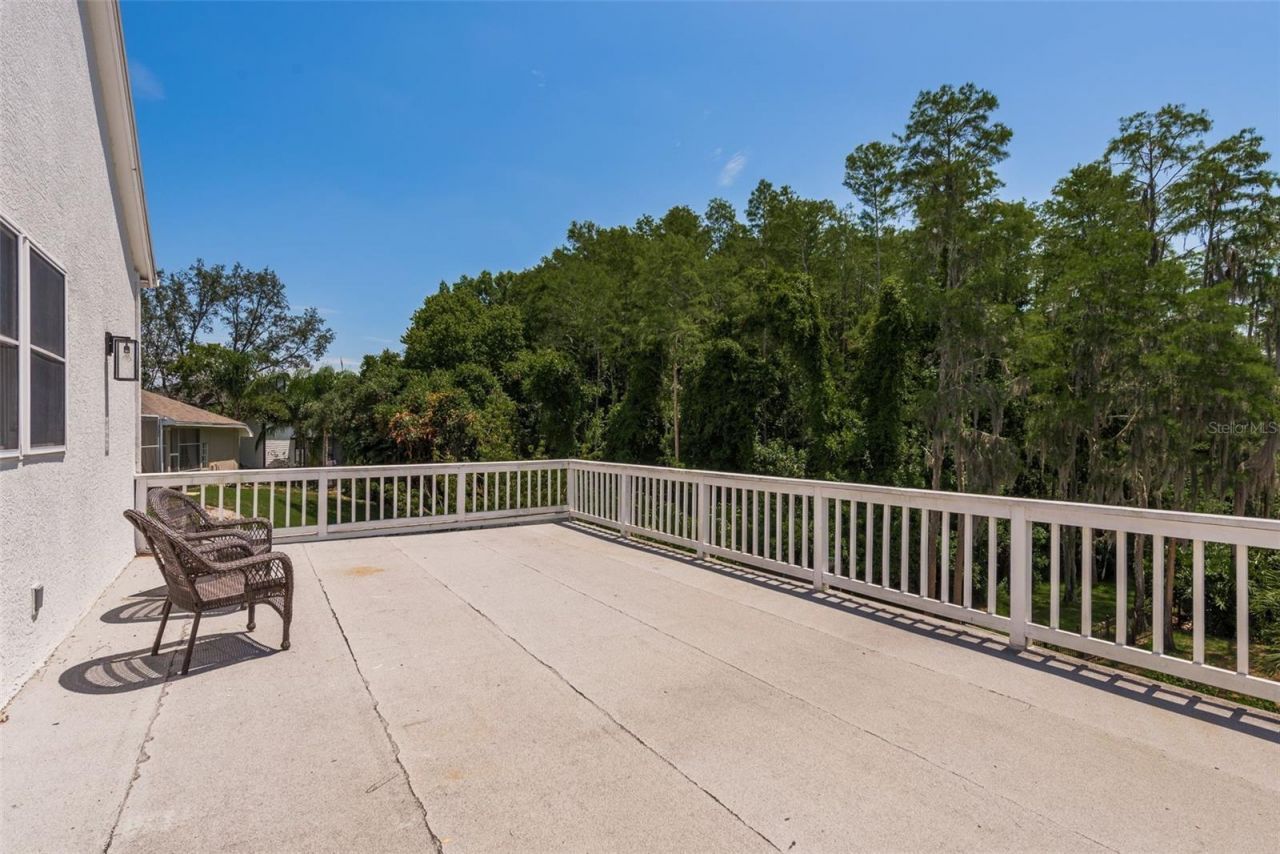 877 Cypress Lakeview Court, Tarpon Springs, FL 34688 Photo