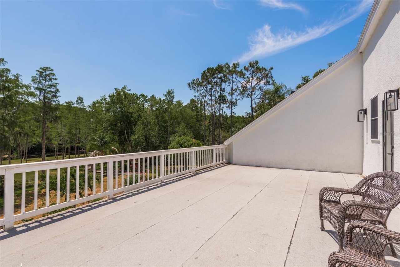877 Cypress Lakeview Court, Tarpon Springs, FL 34688 Photo
