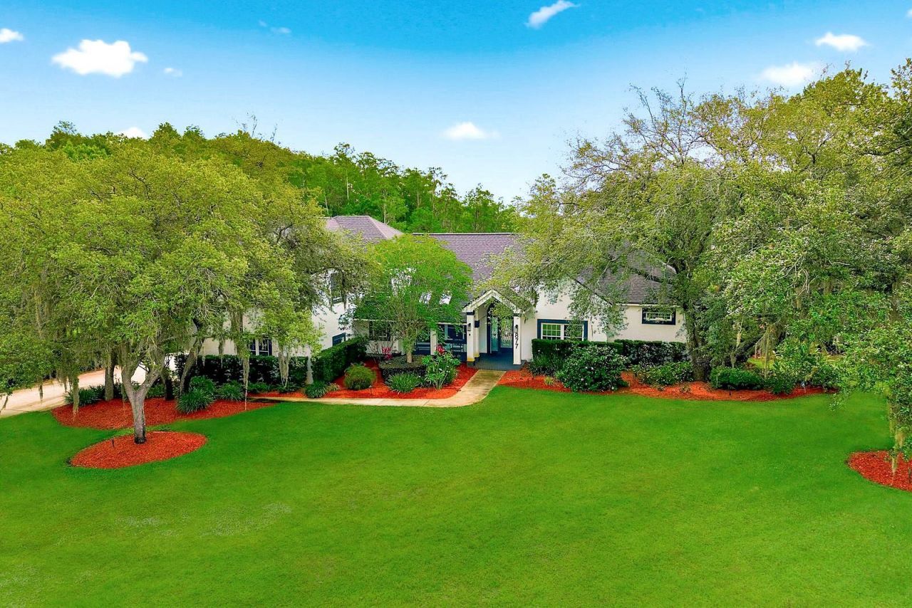 877 Cypress Lakeview Court, Tarpon Springs, FL 34688 Photo