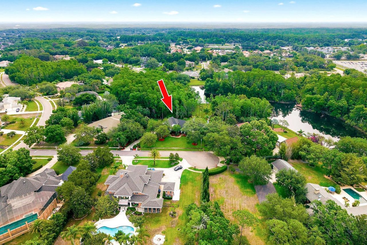877 Cypress Lakeview Court, Tarpon Springs, FL 34688 Photo
