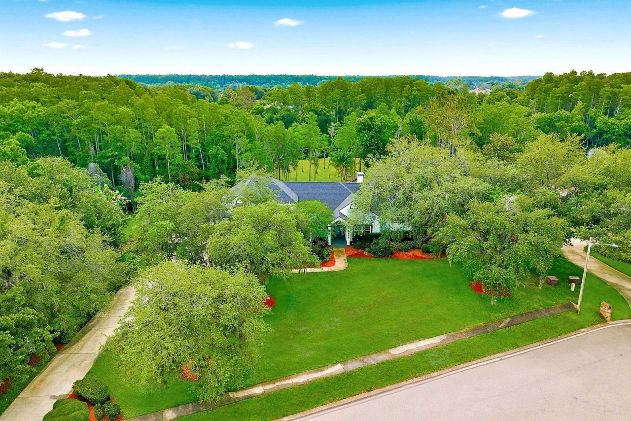 877 Cypress Lakeview Court, Tarpon Springs, FL 34688 Photo