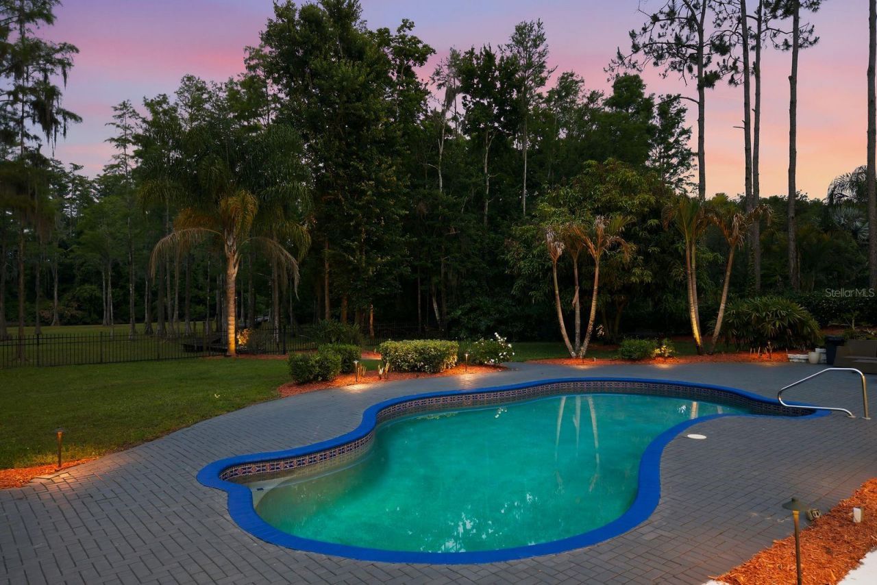 877 Cypress Lakeview Court, Tarpon Springs, FL 34688 Photo