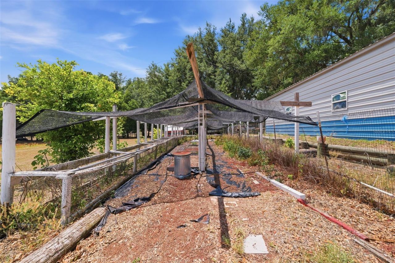 35600 Blanton Road, Dade City, FL 33523 Photo