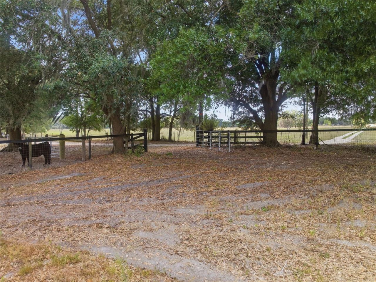 35600 Blanton Road, Dade City, FL 33523 Photo