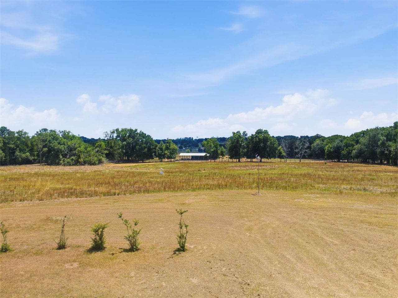 35600 Blanton Road, Dade City, FL 33523 Photo