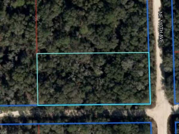 NE 110TH AVENUE , BRONSON, FL 32621