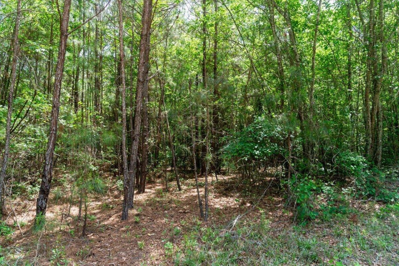 00 Deneaux Road Photo 10