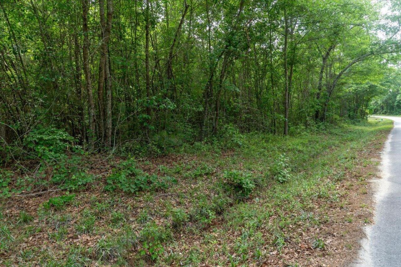 00 Deneaux Road Photo 11