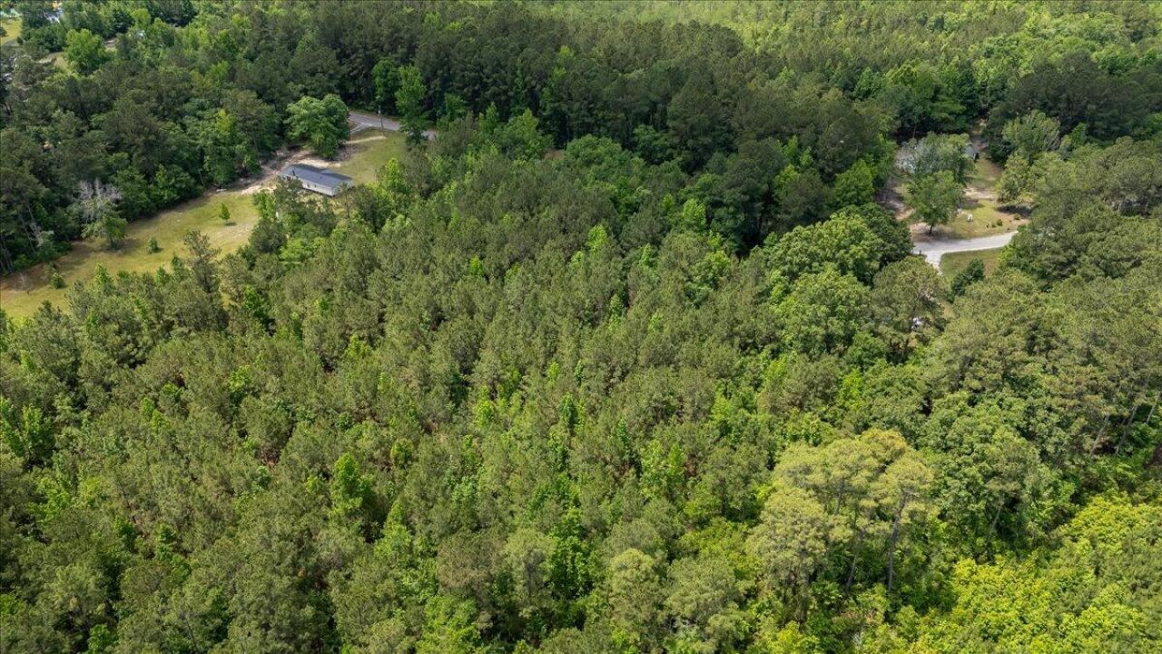 00 Deneaux Road Photo 28