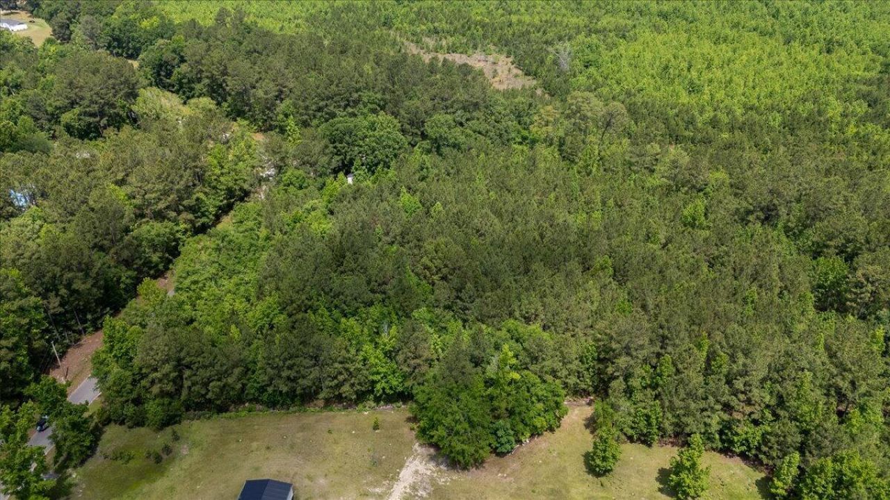 00 Deneaux Road Photo 39