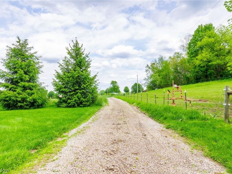 15157 Wynncrest Street SW, Navarre, OH 44662 Photo 34