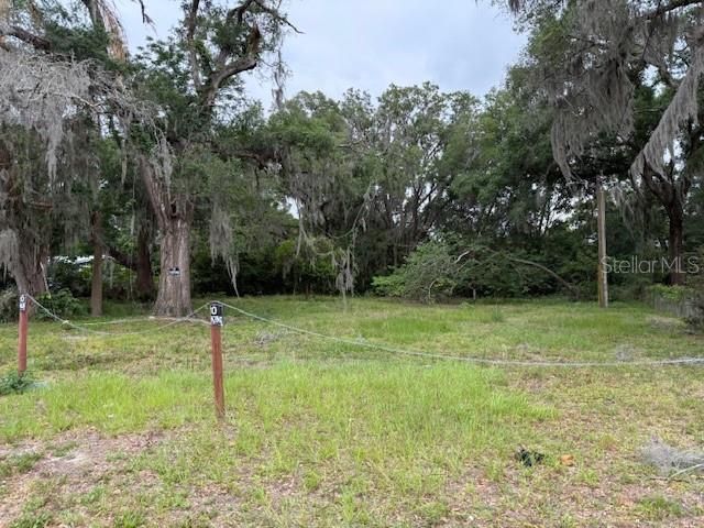 412 York Street, Wildwood, FL 34785 Photo