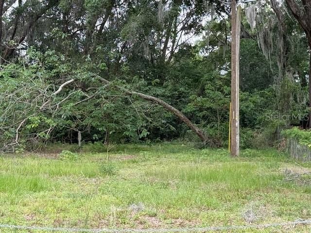 412 York Street, Wildwood, FL 34785 Photo