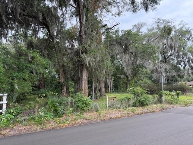 412 York Street, Wildwood, FL 34785 Photo