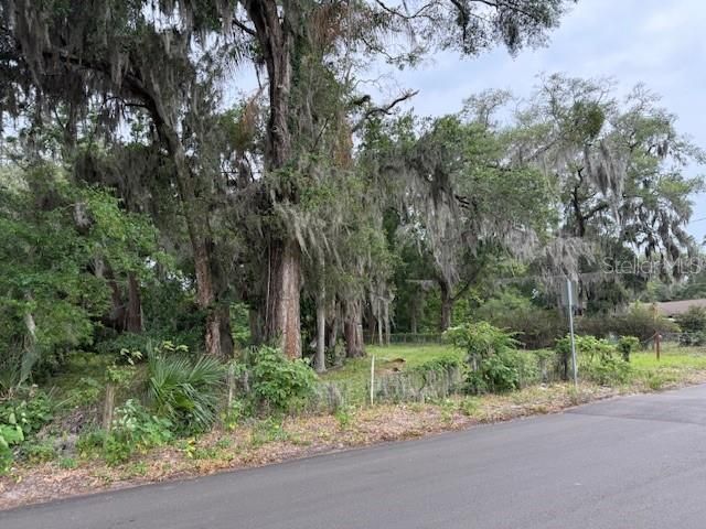 412 York Street, Wildwood, FL 34785 Photo