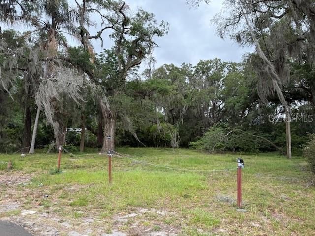 412 York Street, Wildwood, FL 34785 Photo