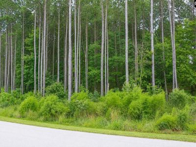 Clouds Creek Circle, Unit 94, Leesville, SC 29070