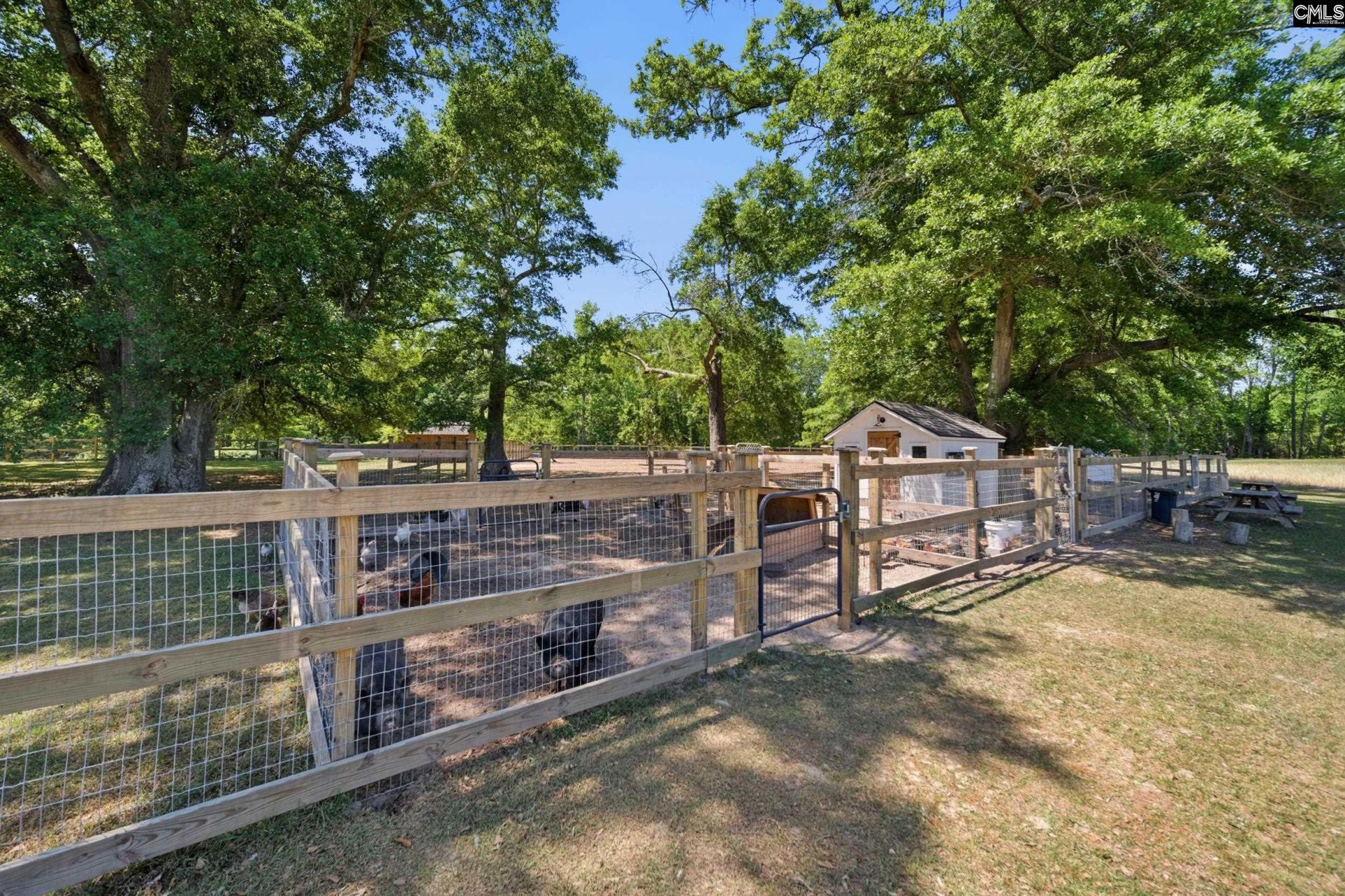695 Hartzog  Photo 50