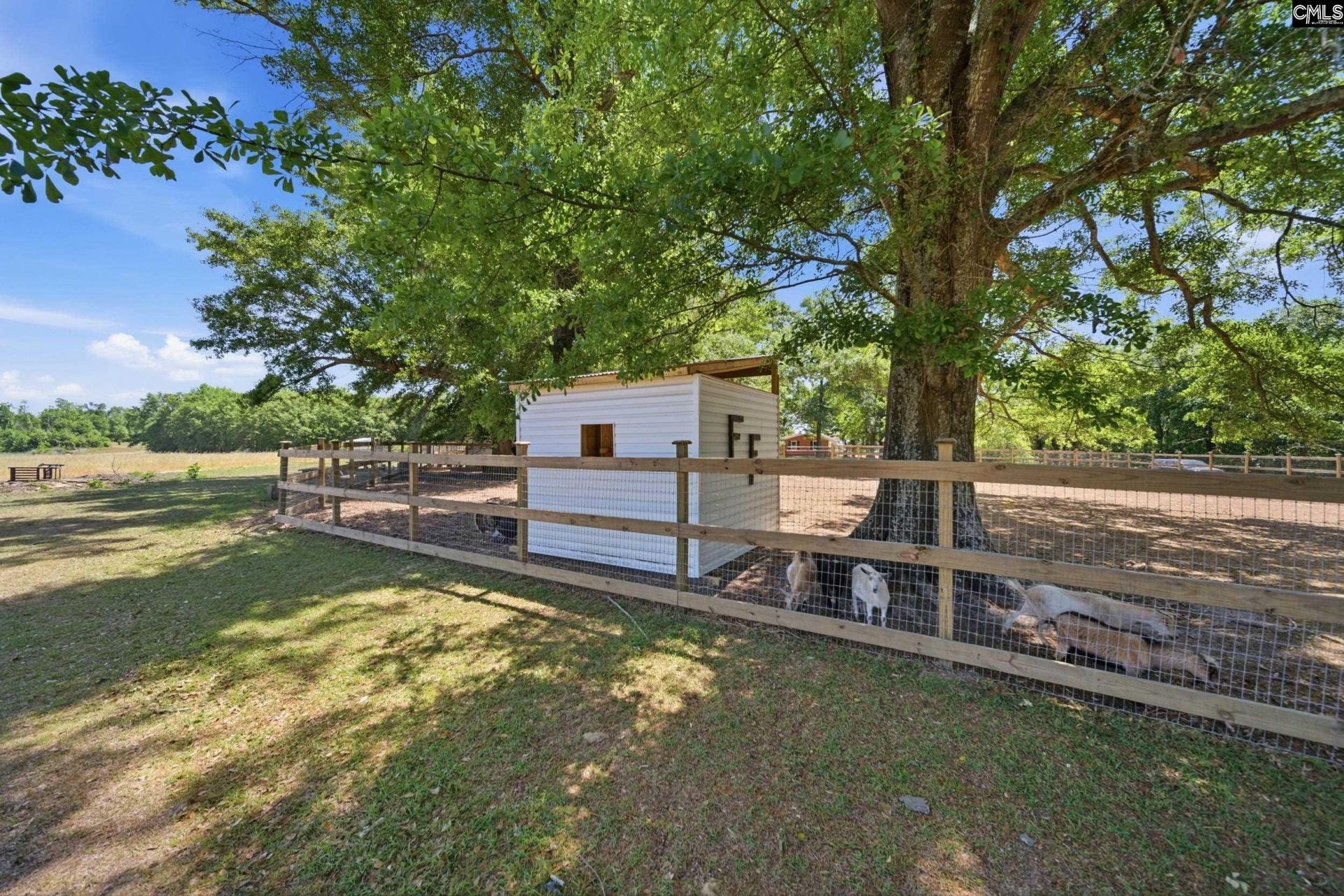 695 Hartzog  Photo 53