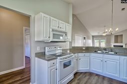 229 Saluda Woods Place  photo 4