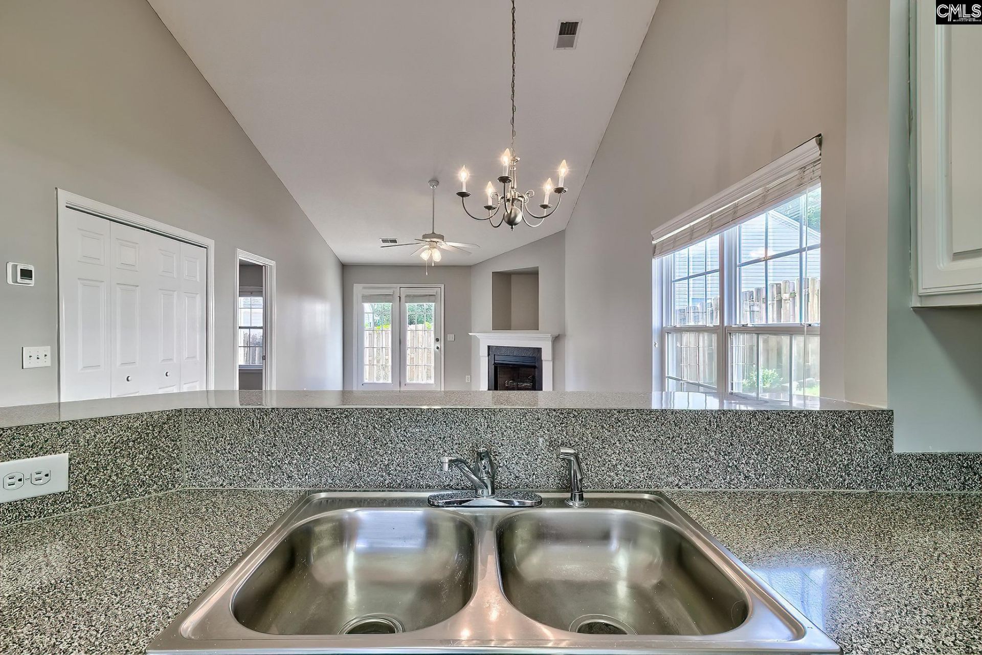 229 Saluda Woods Place  Photo 8