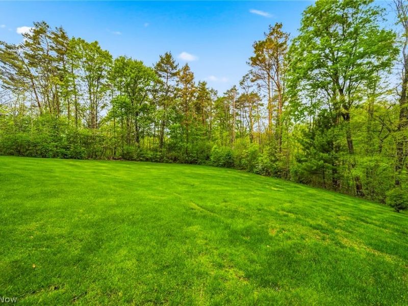 10830 Lakebrook Drive, Kirtland, OH 44094 Photo 8