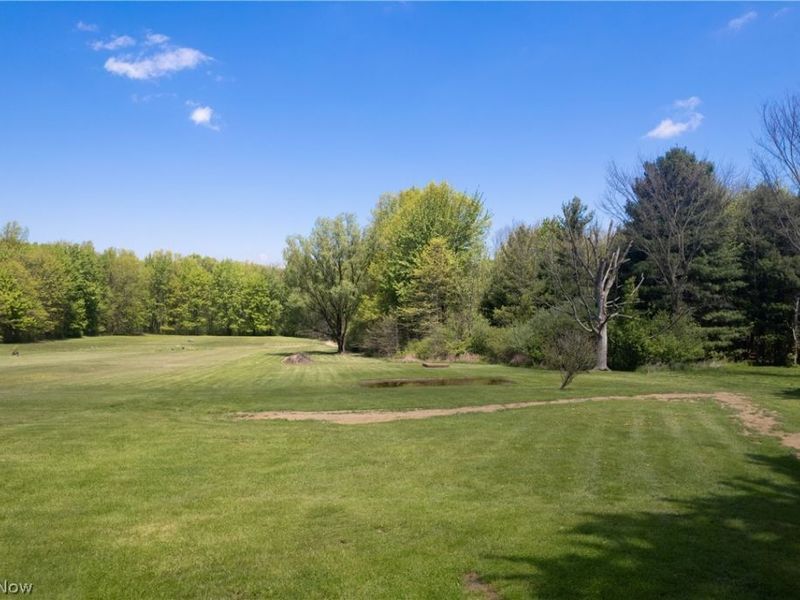 7299 State Route 303, Windham, OH 44288 Photo 45