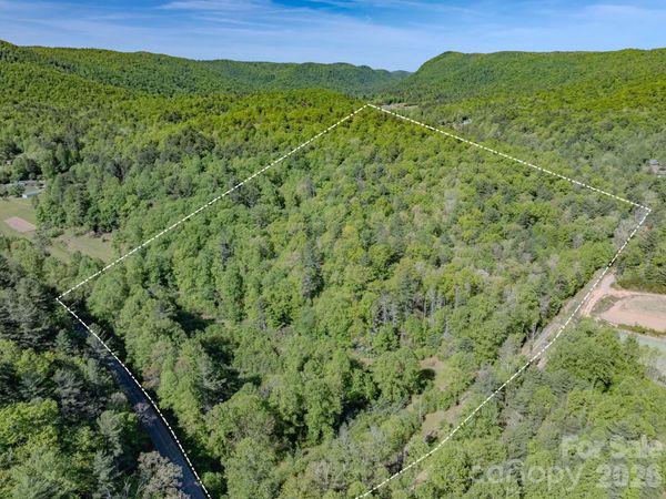 4111 Bobs Creek Road , Zirconia, NC 28790