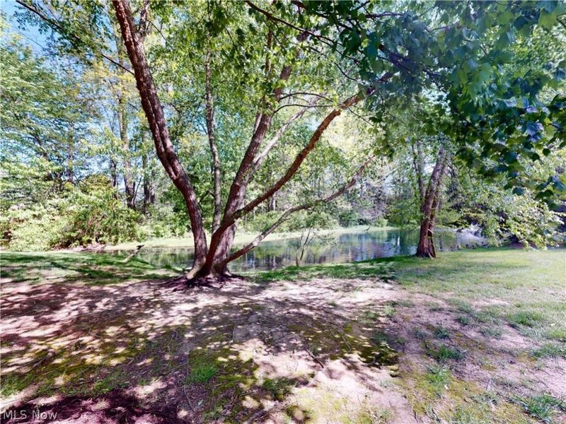 167 Marwyck Place Lane, Northfield, OH 44067 Photo 38
