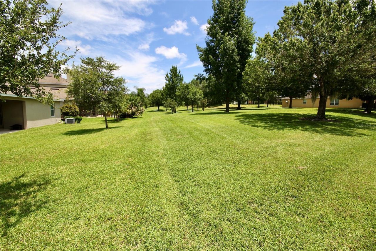 1073 Cavan Drive, Apopka, FL 32703 Photo
