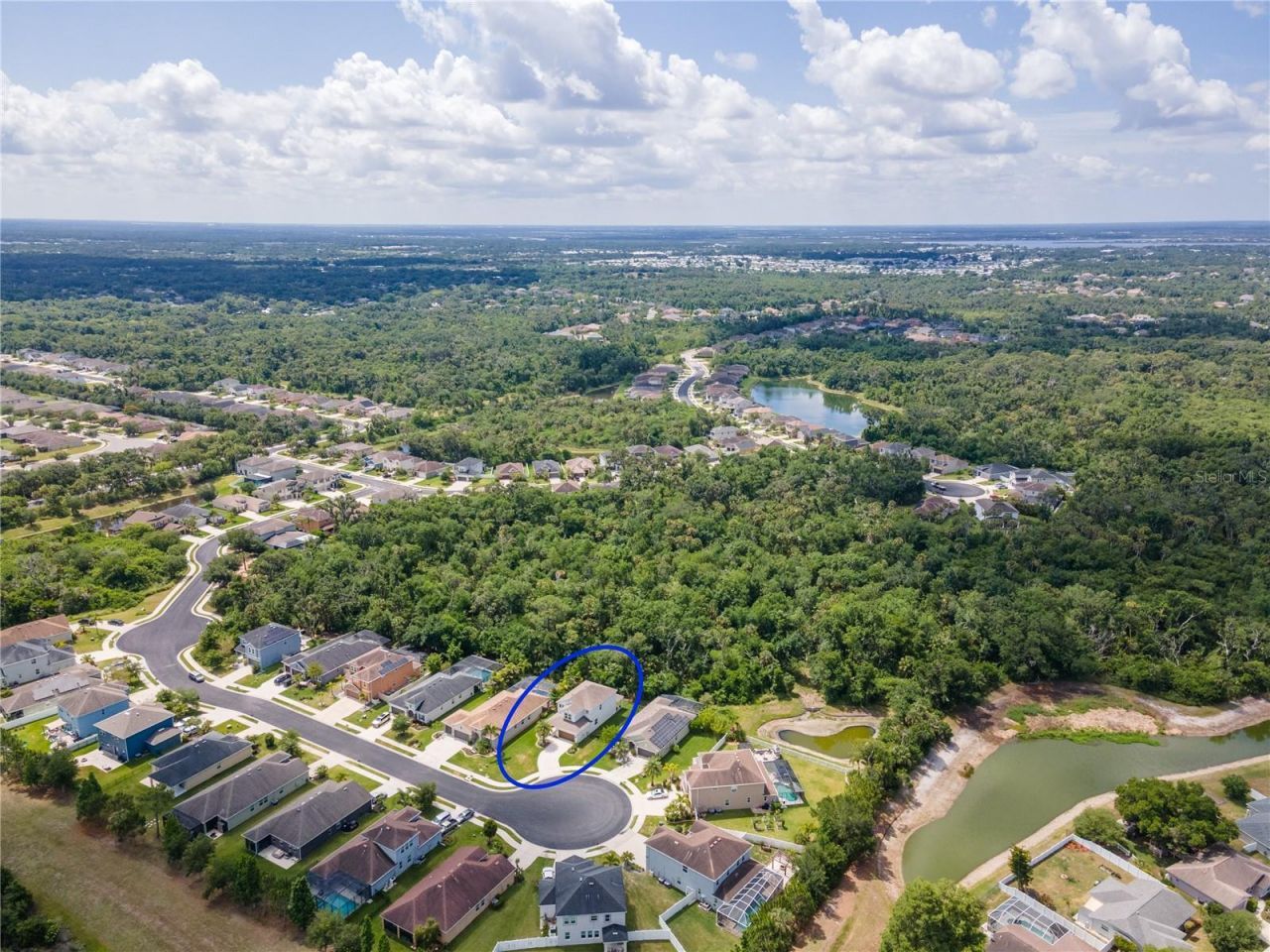 6311 Horse Mill Place , Palmetto, FL 34221 Photo