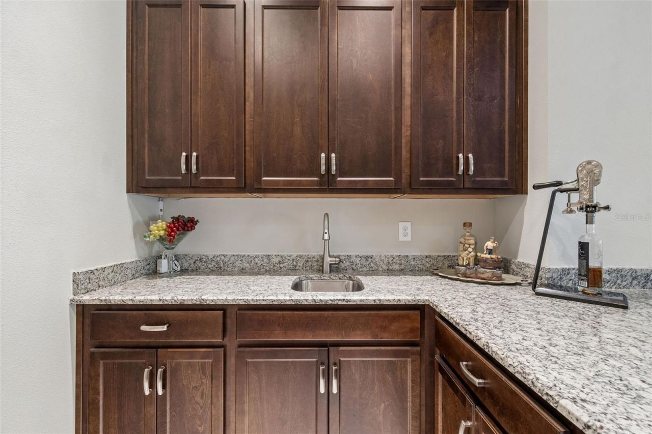 2213 Hollow Forest Court , Wesley Chapel, FL 33543 Photo