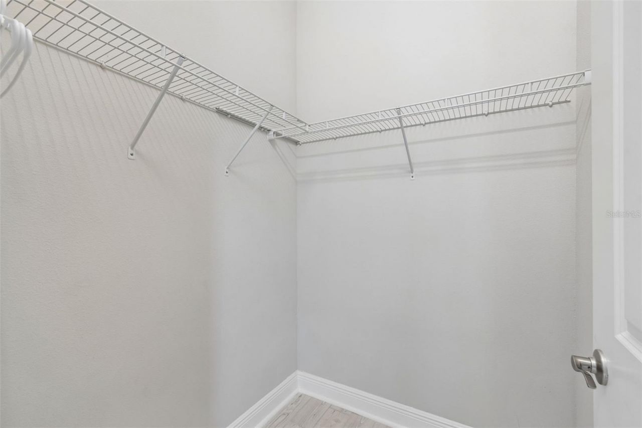 2213 Hollow Forest Court , Wesley Chapel, FL 33543 Photo
