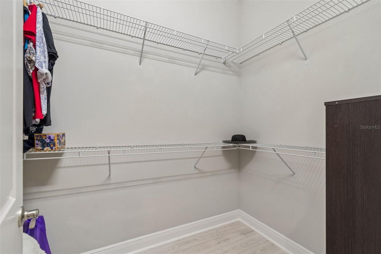 2213 Hollow Forest Court , Wesley Chapel, FL 33543 Photo