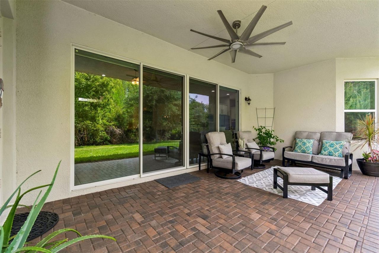 2213 Hollow Forest Court , Wesley Chapel, FL 33543 Photo