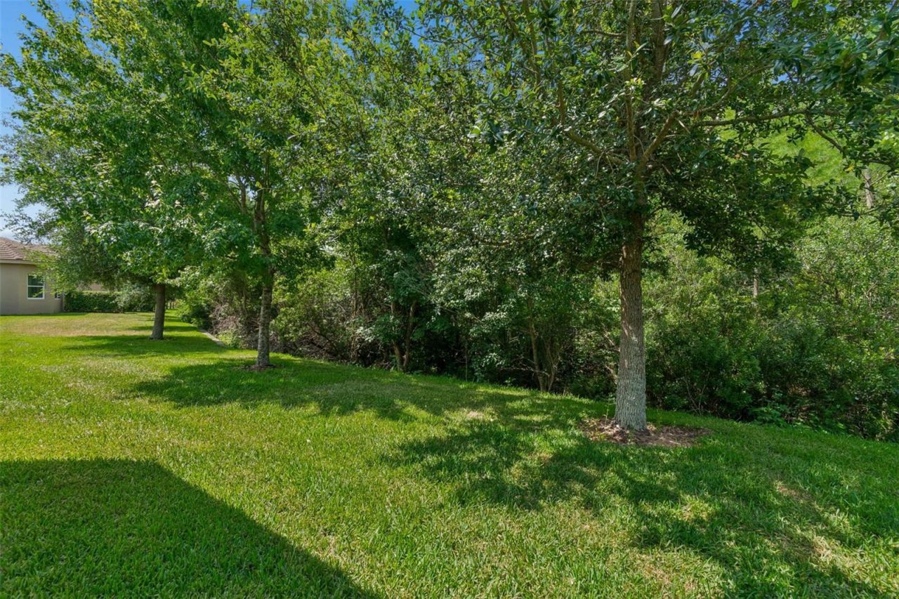 2213 Hollow Forest Court , Wesley Chapel, FL 33543 Photo