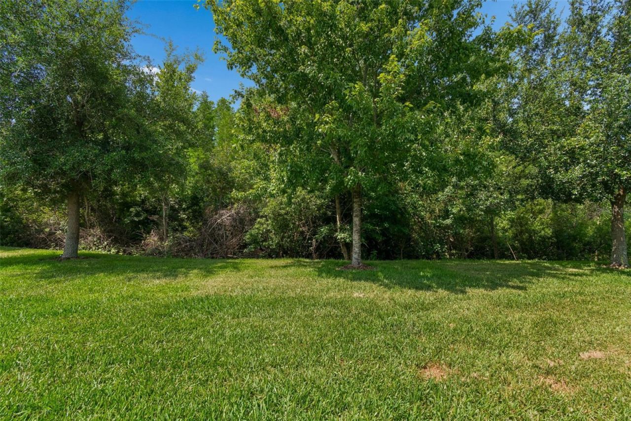 2213 Hollow Forest Court , Wesley Chapel, FL 33543 Photo