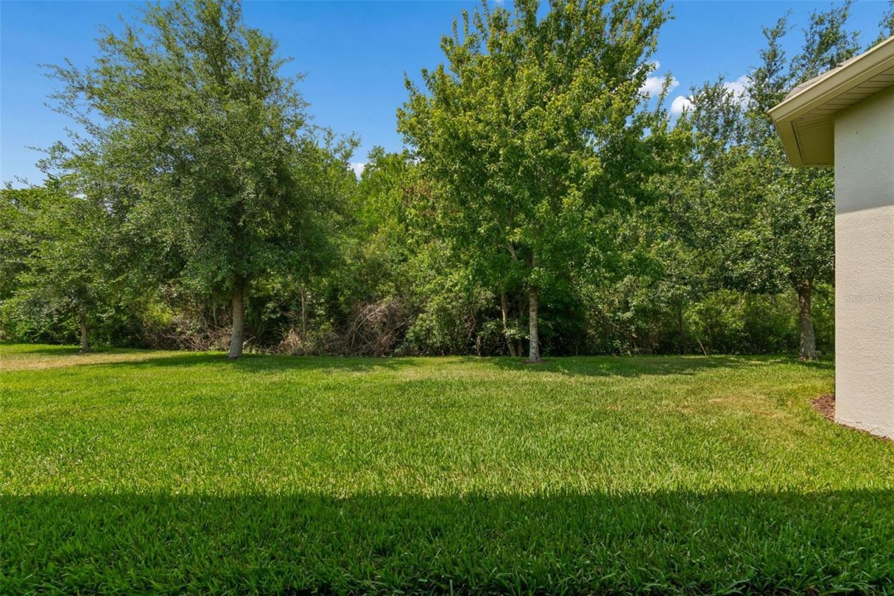 2213 Hollow Forest Court , Wesley Chapel, FL 33543 Photo