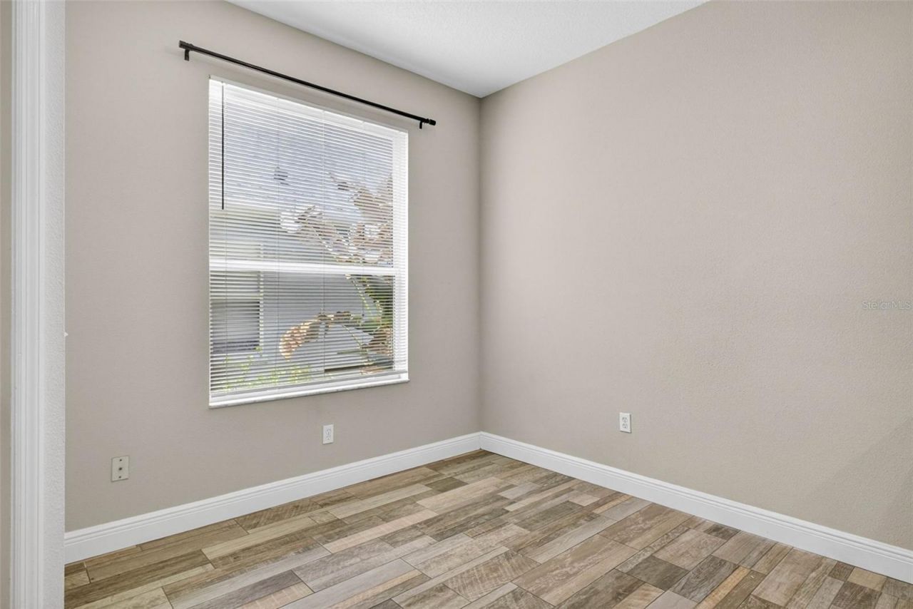 10024 Coldwater Loop, Land O Lakes, FL 34638 Photo