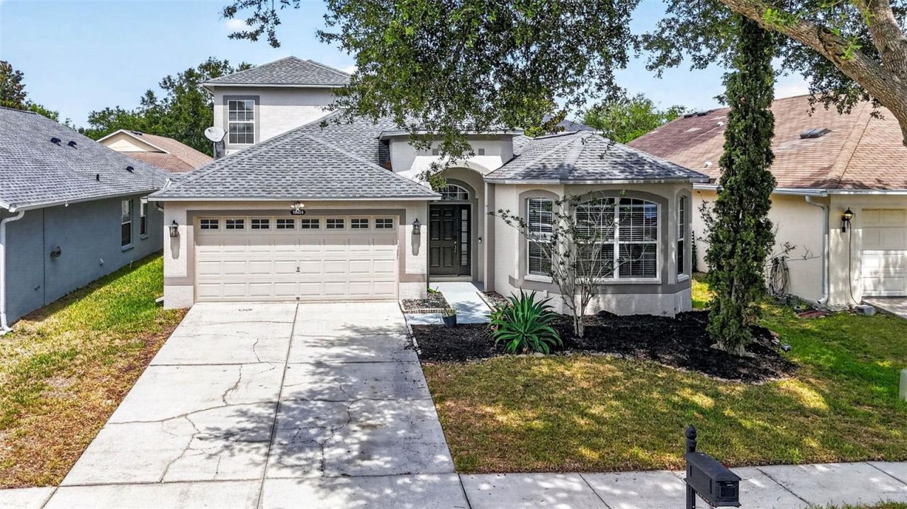 10024 Coldwater Loop, Land O Lakes, FL 34638 Photo