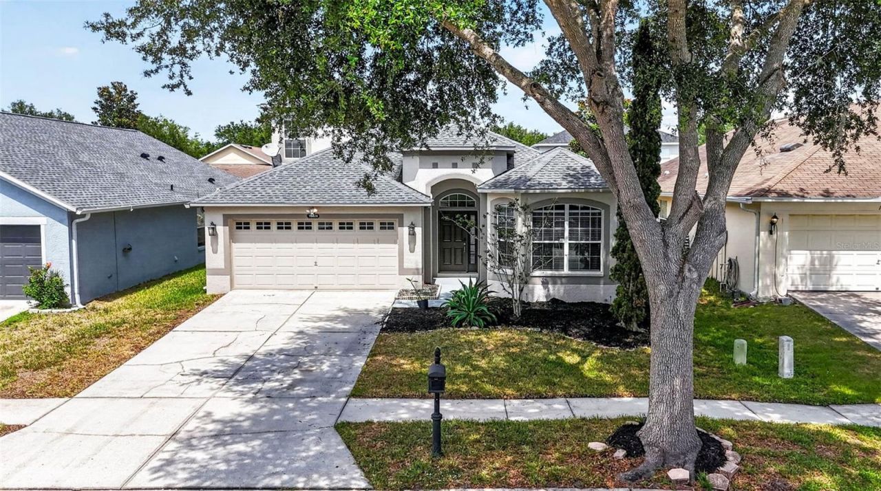 10024 Coldwater Loop, Land O Lakes, FL 34638 Photo