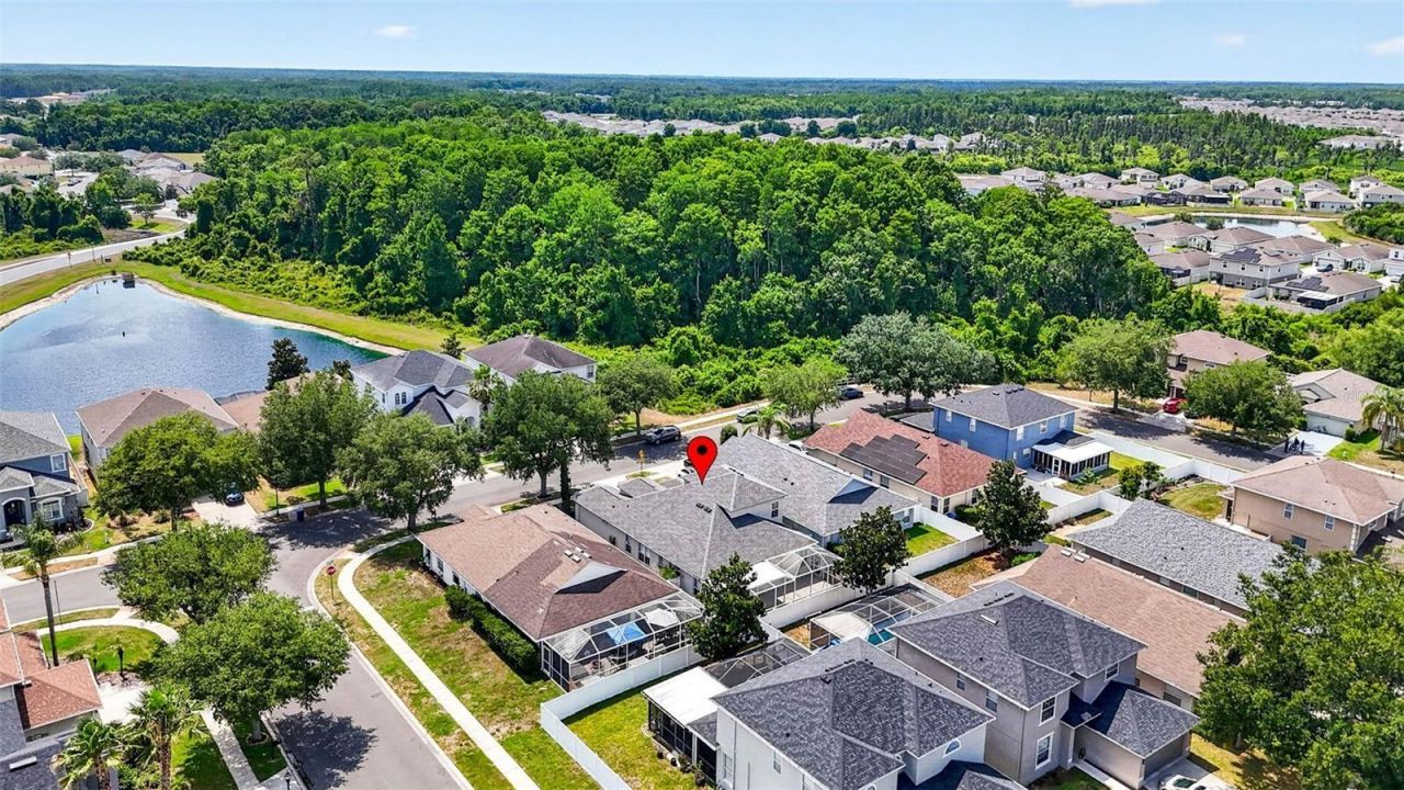 10024 Coldwater Loop, Land O Lakes, FL 34638 Photo